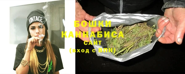 дживик Верхний Тагил