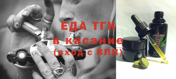дживик Верхний Тагил
