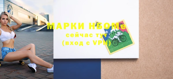 дживик Верхний Тагил