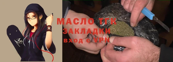 дживик Верхний Тагил