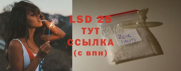 дживик Верхний Тагил