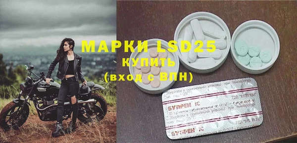 дживик Верхний Тагил