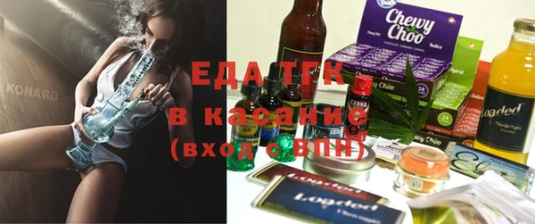 дживик Верхний Тагил
