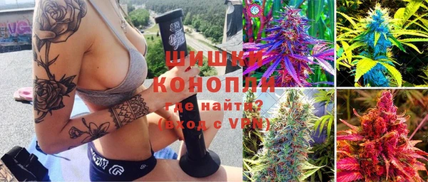 дживик Верхний Тагил